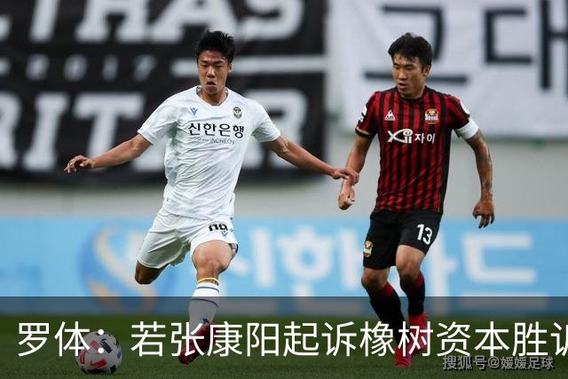 罗体：若张康阳起诉橡树资本胜诉，最高索赔金额可达4.5亿欧